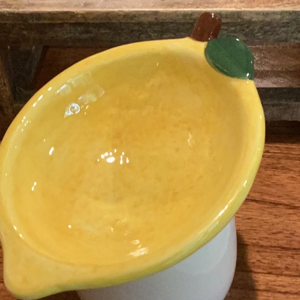 Lemon Pet Bowl